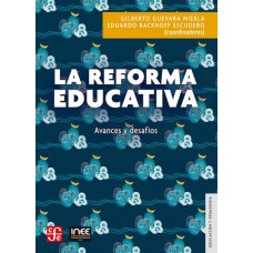 La Reforma Educativa. Avances y desafíos